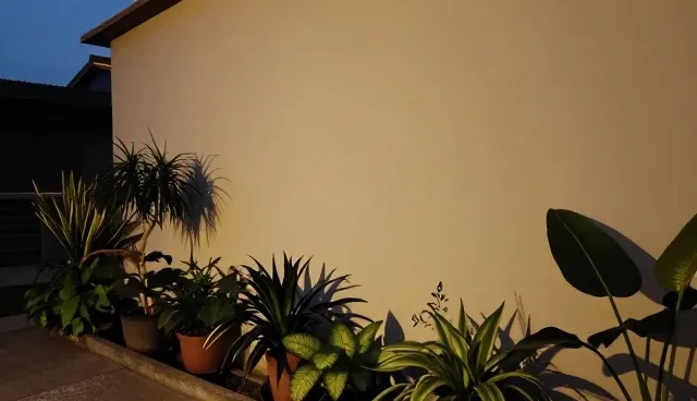 视频剪辑中直播运营的传播效果优化路径